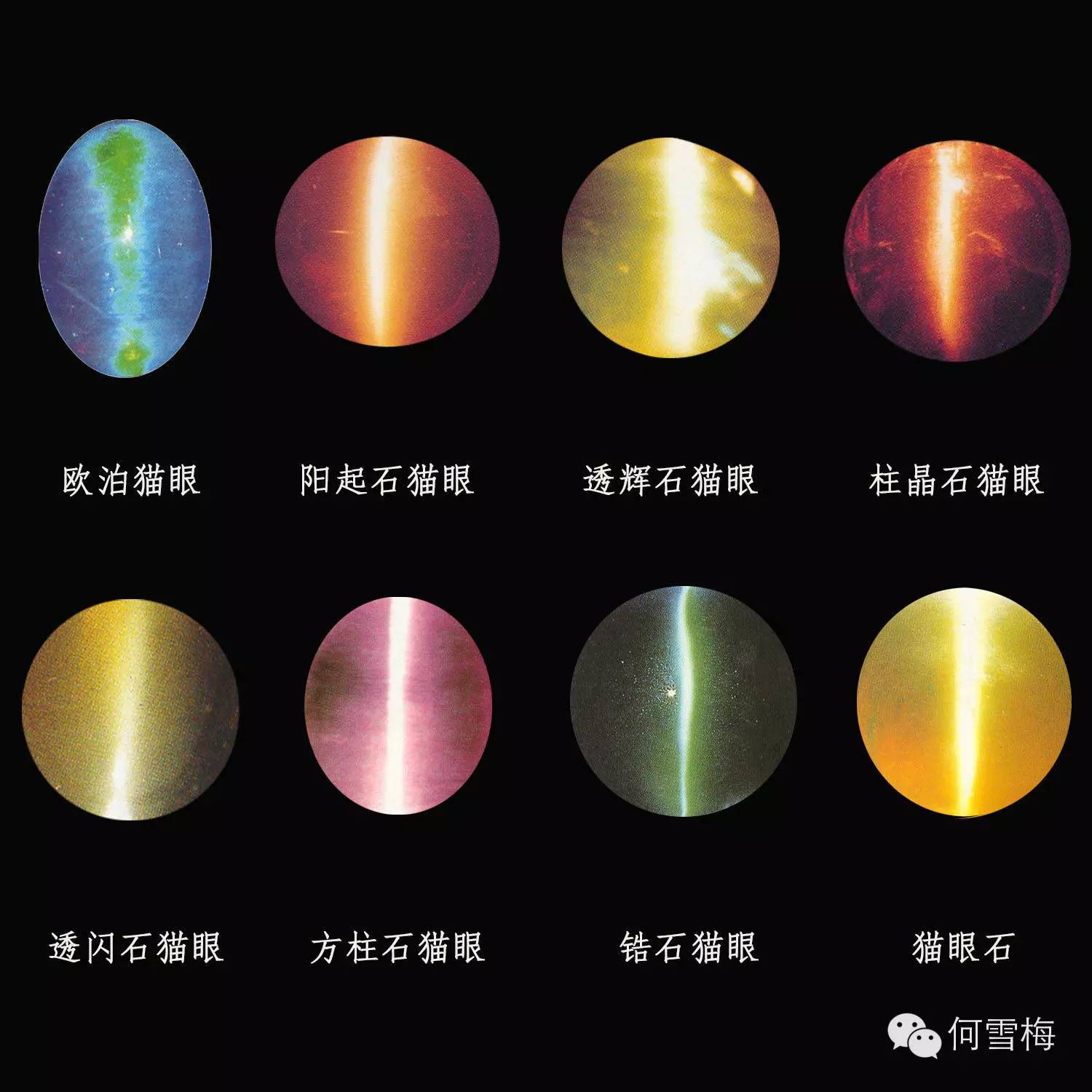 一双瞳仁剪秋水——猫眼的前世今生 - 北京OlympeLiu奥琳谱珠宝设计工作室,独一无二的珠宝首饰定制体验